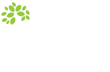 Zeina Foods